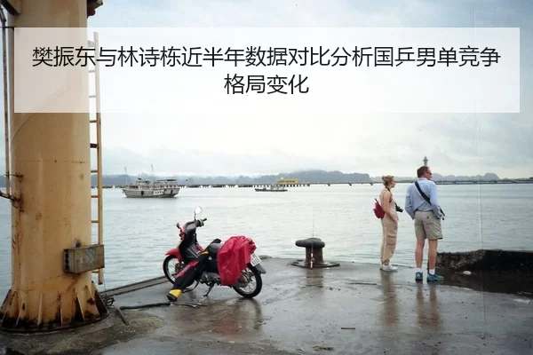 樊振东与林诗栋近半年数据对比分析国乒男单竞争格局变化