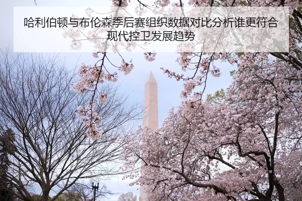 哈利伯顿与布伦森季后赛组织数据对比分析谁更符合现代控卫发展趋势